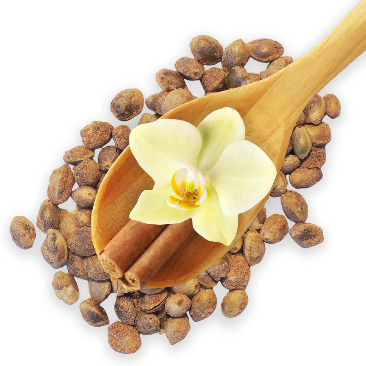 Bio Hanf Crunchies Vanilla Cinnamon