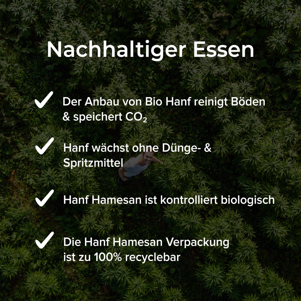 Bio Hanf Hamesan – vegane Streukäse-Alternative