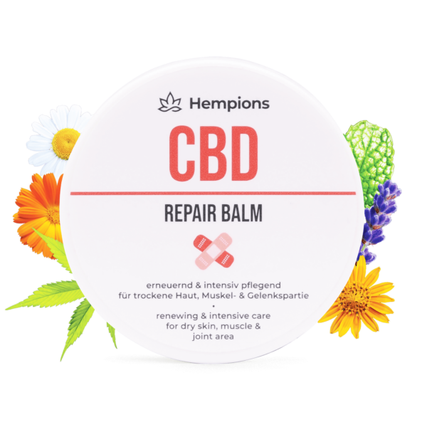 9120095941611 CBD Repair Balm 50ml Main