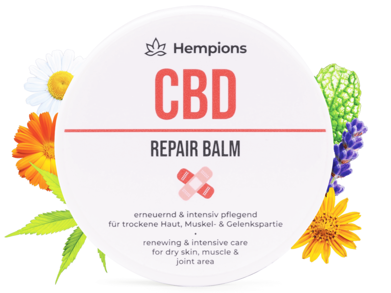 Repair Balm - limitiertes Probierangebot 18 9120095941611 CBD Repair Balm 50ml cropped