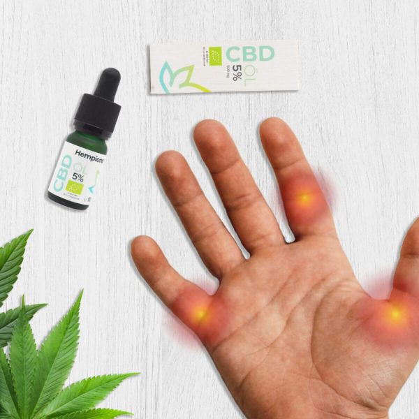Hemp and CBD: possible miracle weapon against osteoarthritis?