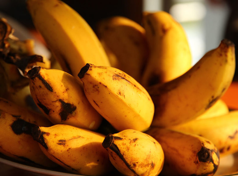 Nahrung der Zukunft falsche Bananen