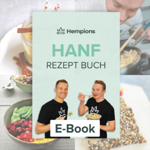 Rezeptbuch Teaser 2025